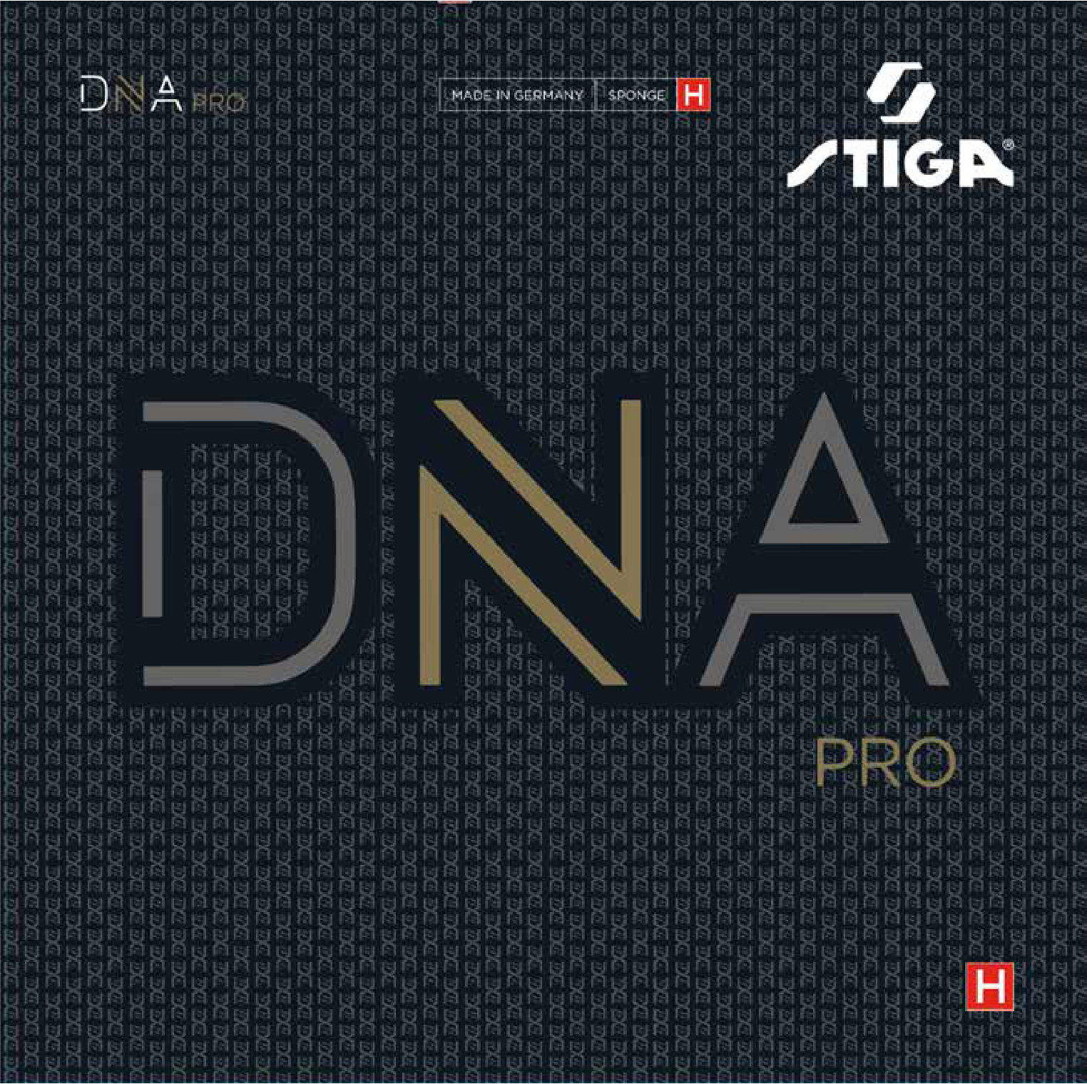 ＤＮＡ　プロ　Ｈ