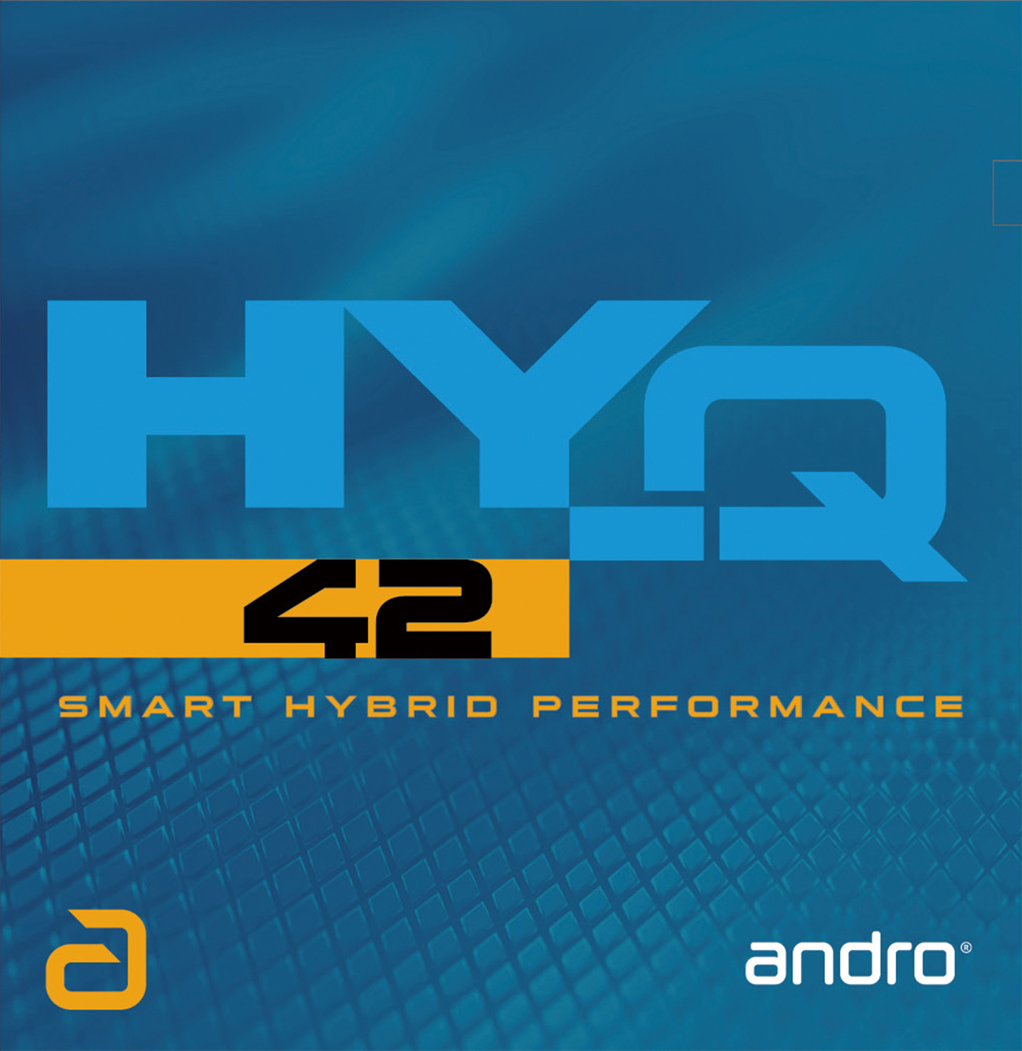 ＨＹ−Ｑ４２